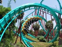 Busch Gardens in Tampa, Florida